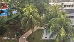 Blk 768 Pasir Ris Street 71 (Pasir Ris), HDB 4 Rooms #601571931